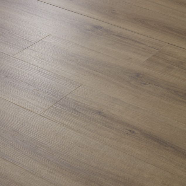 Tapi Kiri Rigel Dryback